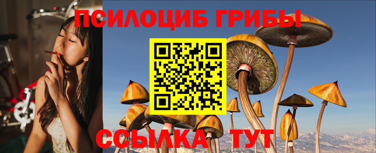 Долгопрудный  Псилоцибиновые грибы мицелий  Вход с VPN 